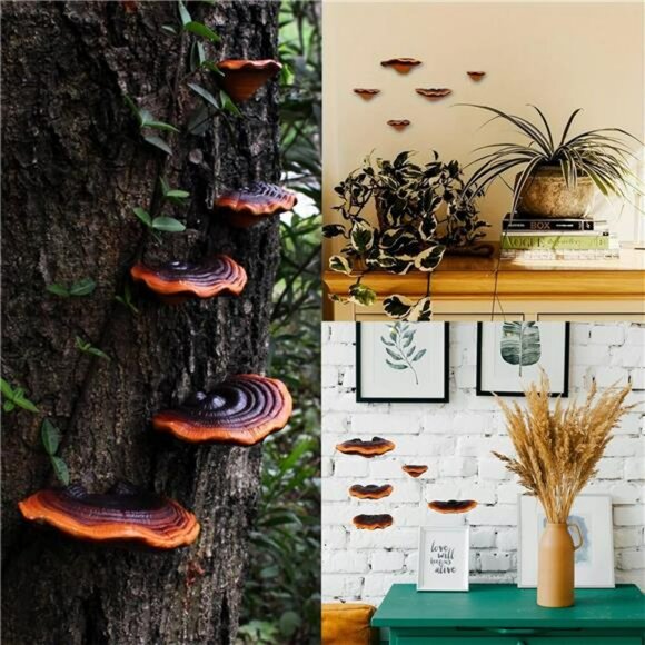 Set of 5 Mushroom Wall Shelves Small Floating Resin Shelves for Home Decor - Picture 5 of 7